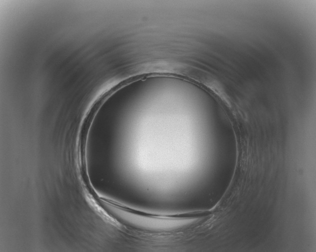 X0000081451080200701191708