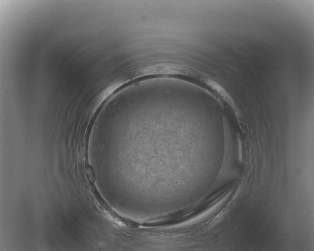 X0000081451081200701191708