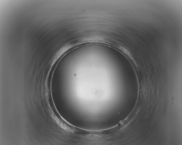 X0000081451082200701191707