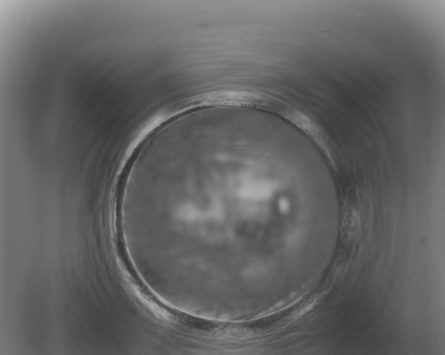 X0000081451083200701191707