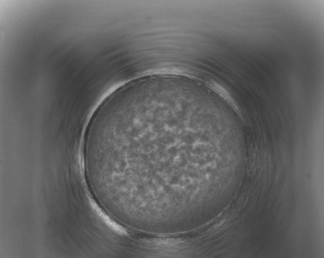 X0000081451084200701191707