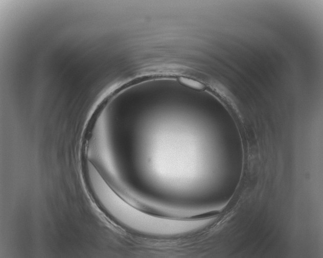 X0000081451085200701191707