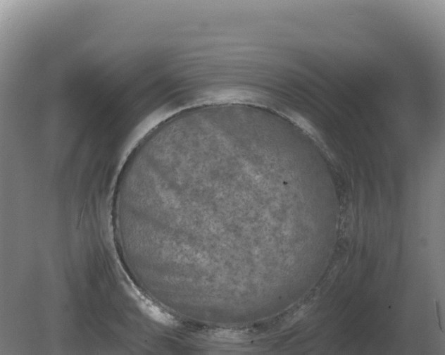 X0000081451086200701191707