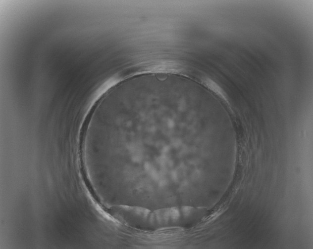 X0000081451087200701191707