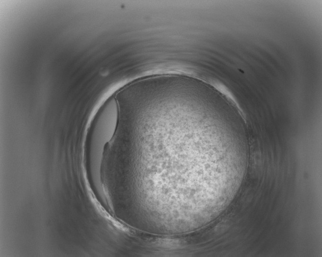 X0000081451088200701191707