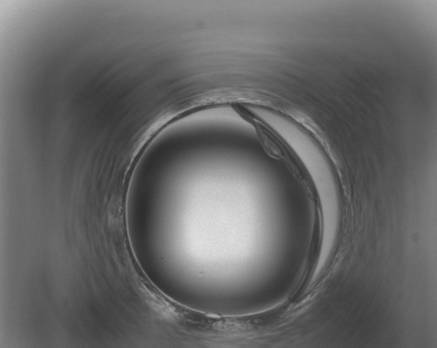 X0000081451089200701191707