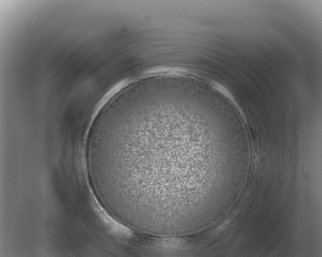 X0000081451090200701191707