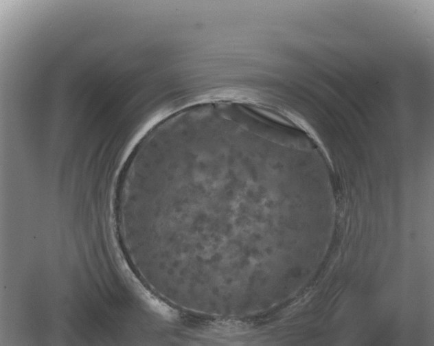 X0000081451091200701191707