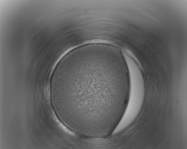 X0000081451092200701191707