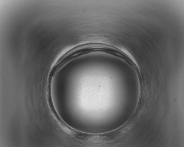 X0000081451093200701191707