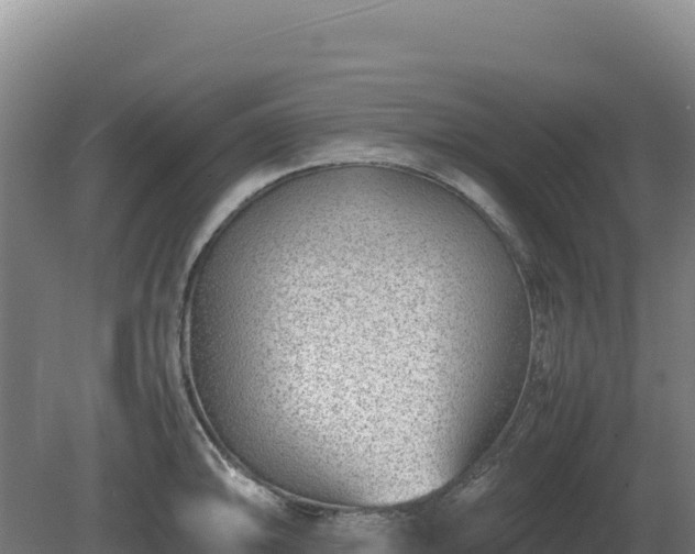 X0000081451094200701191707