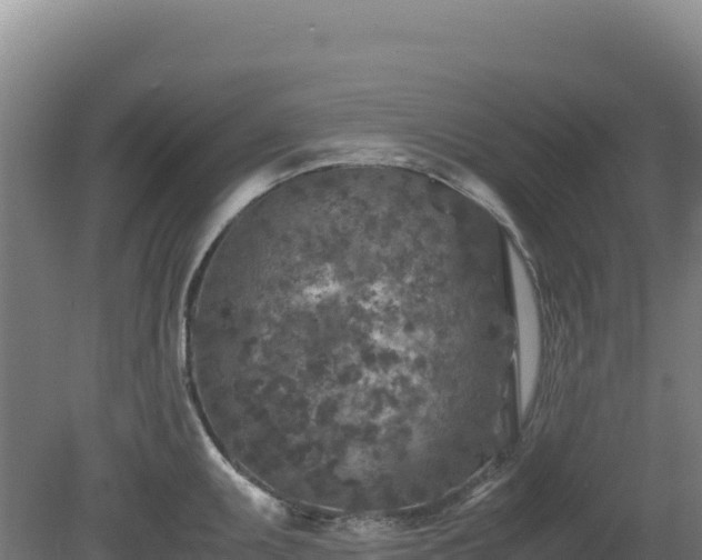 X0000081451095200701191707