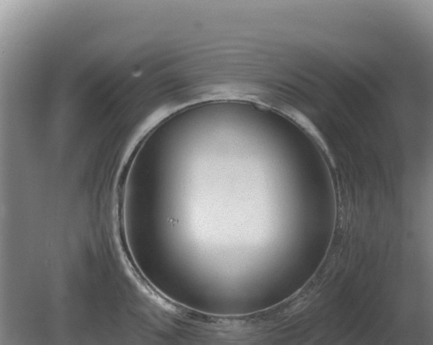 X0000081451096200701191707