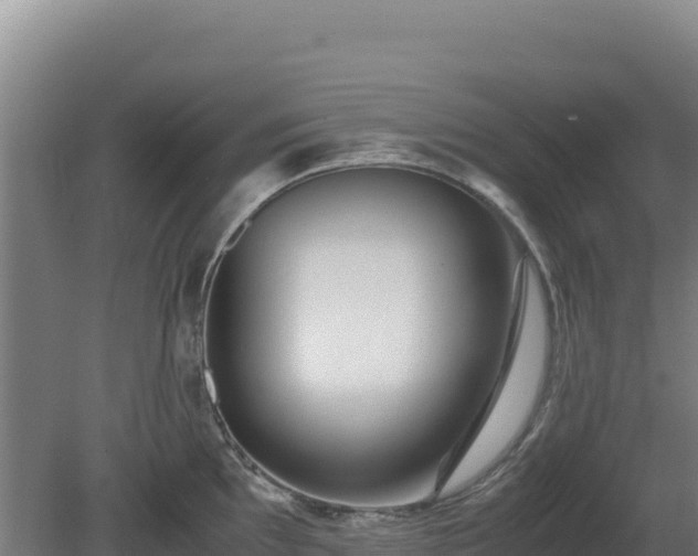 X0000081451097200701191707