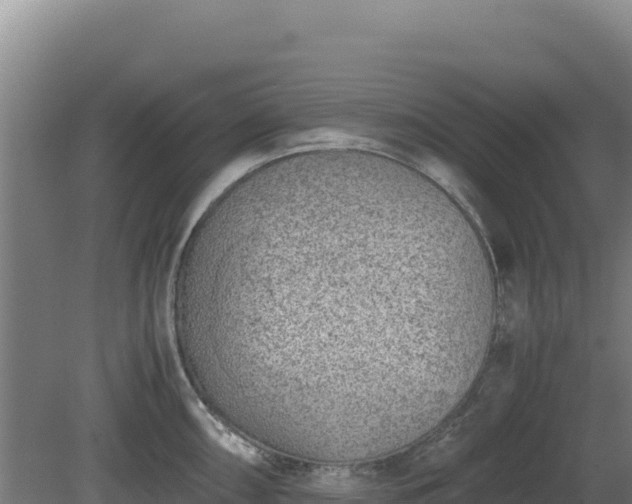 X0000081451098200701191707