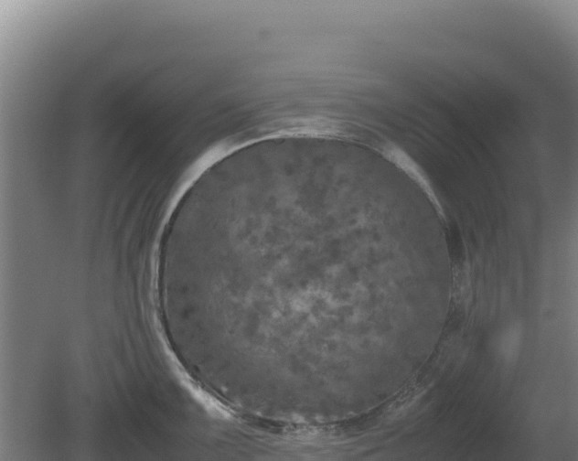 X0000081451099200701191707