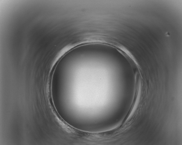 X0000081451101200701191707