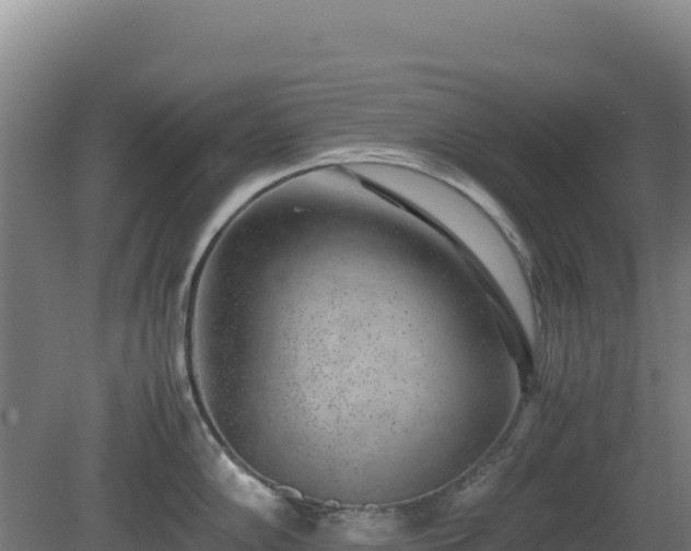 X0000081451102200701191707