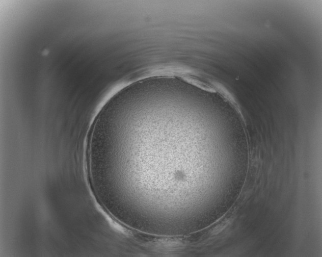 X0000081451103200701191707