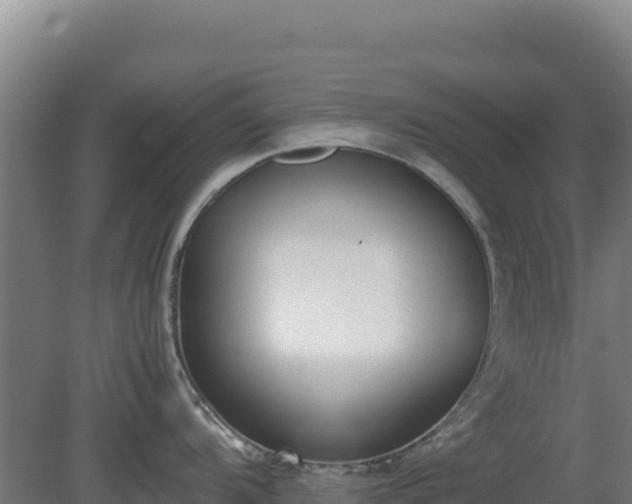 X0000081451104200701191707