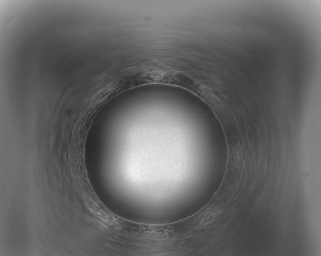 X0000081451105200701191706