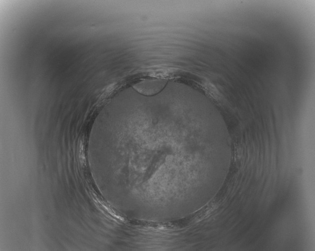 X0000081451106200701191706