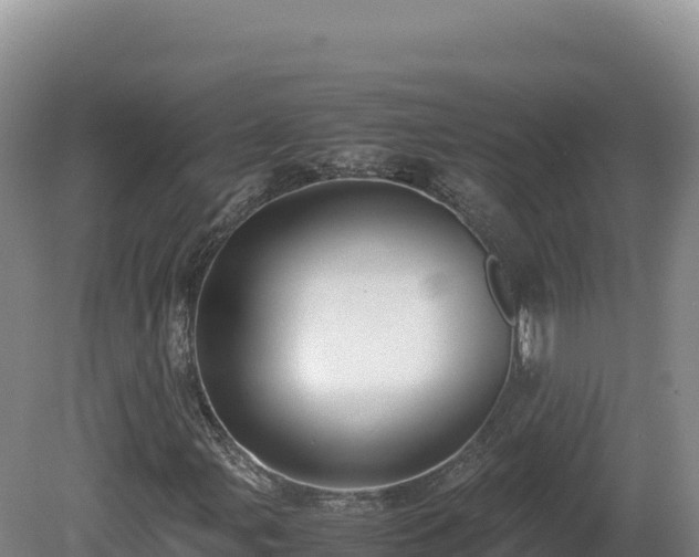 X0000081451107200701191706