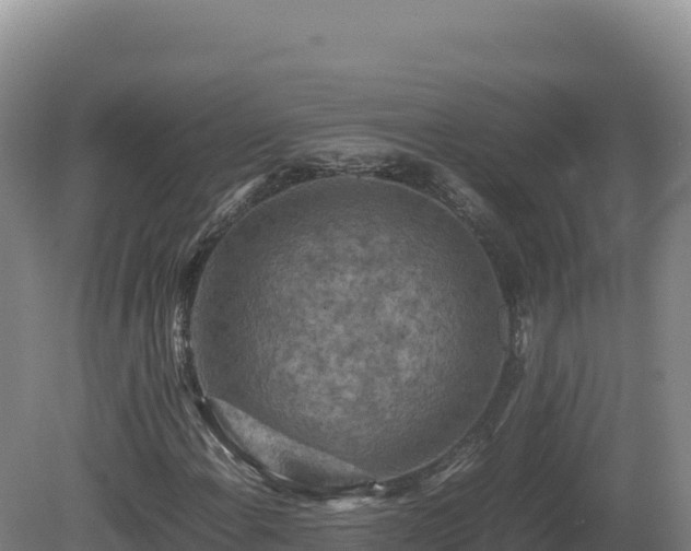 X0000081451108200701191706