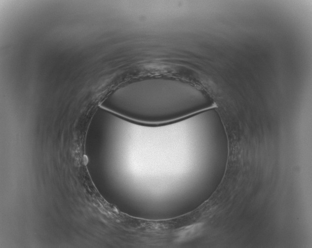 X0000081451109200701191706