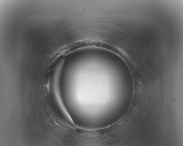 X0000081451110200701191706