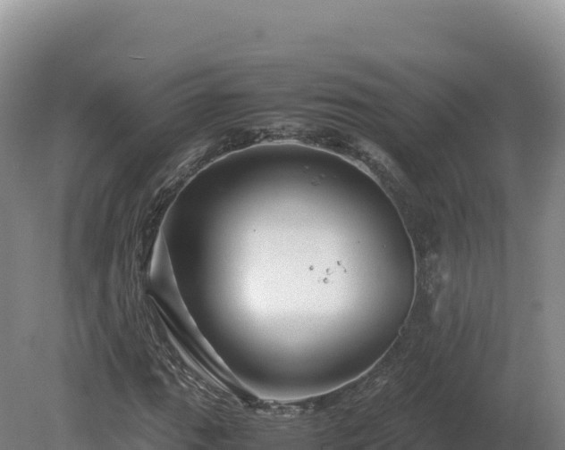 X0000081451111200701191706