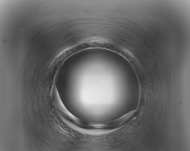 X0000081451112200701191706