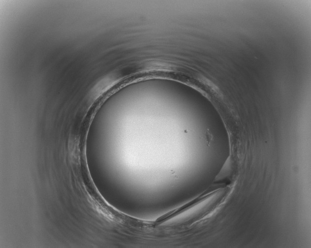 X0000081451113200701191706