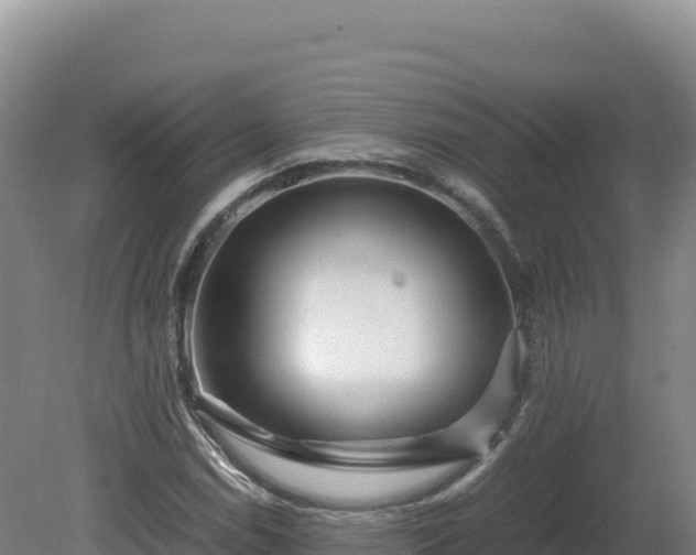 X0000081451114200701191706