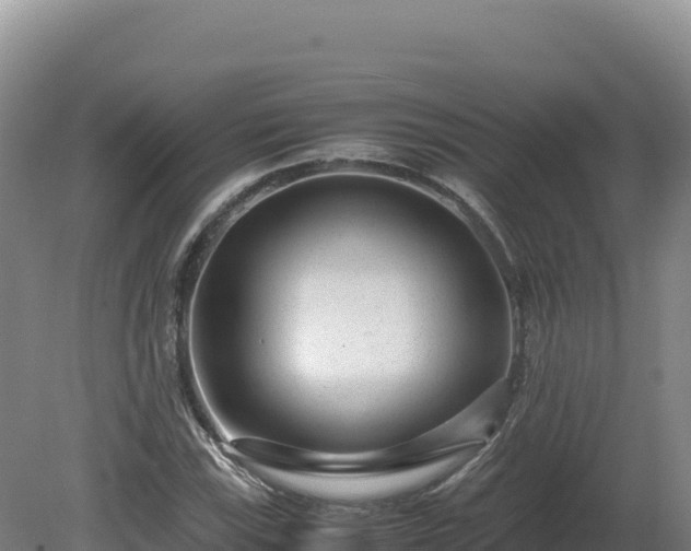 X0000081451115200701191706