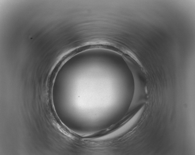 X0000081451116200701191707