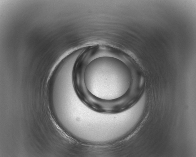 X0000081451118200701191707