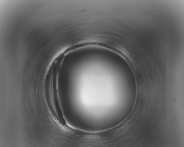 X0000081451119200701191707