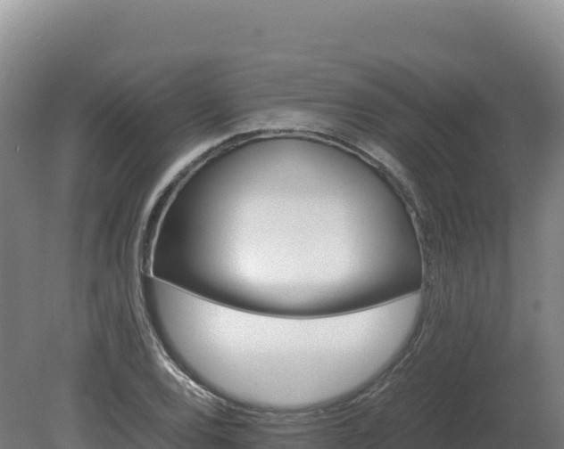 X0000081451120200701191707