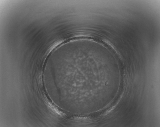 X0000081451121200701191707