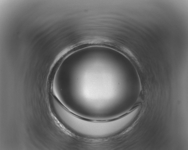 X0000081451122200701191707