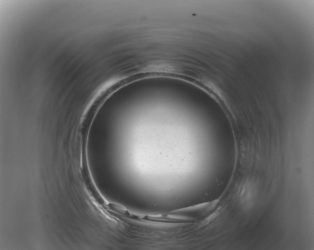 X0000081451123200701191707