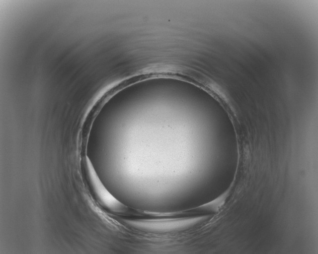 X0000081451124200701191707