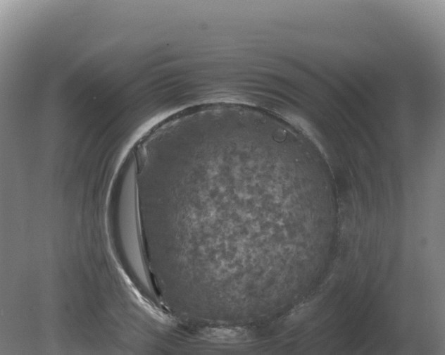 X0000081451125200701191707