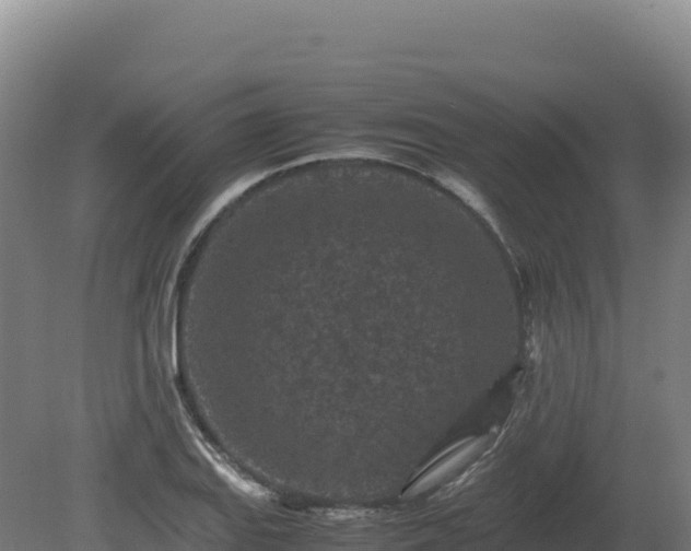 X0000081451127200701191707