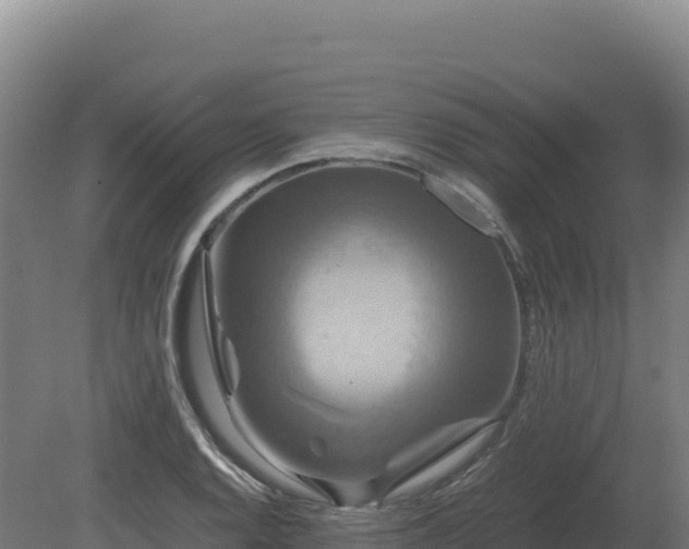 X0000081451128200701191707