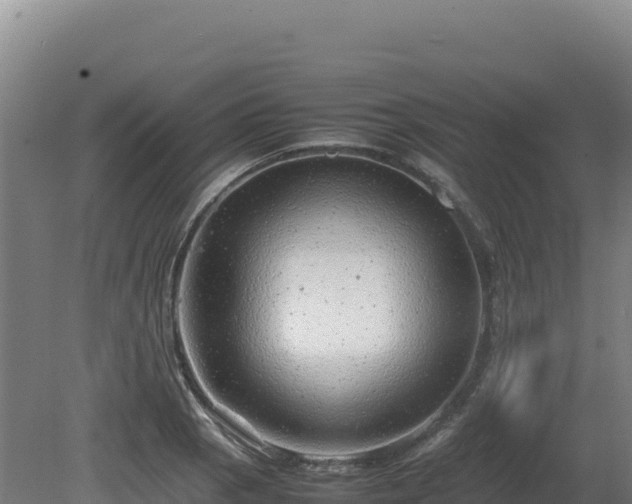 X0000081451129200701191707