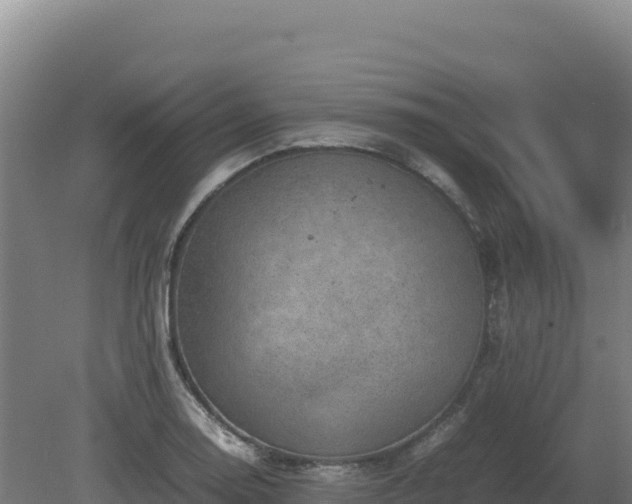 X0000081451130200701191707