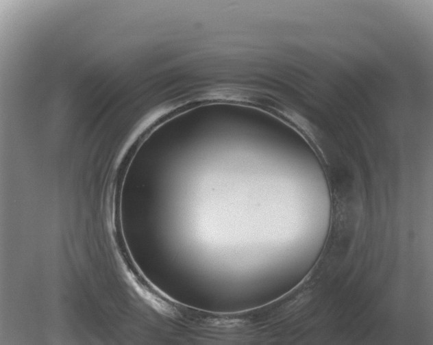 X0000081451131200701191707