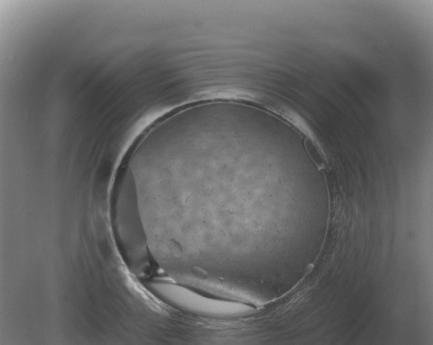 X0000081451132200701191707